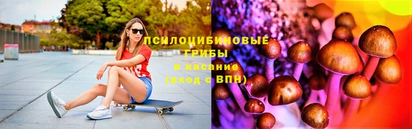 mix Вяземский